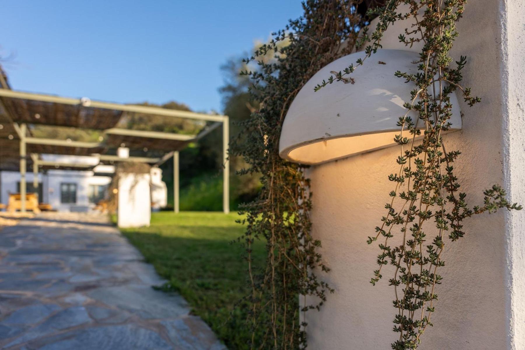 Apartamentos, Finca Contrabando Sanlucar Del Guadiana, Huelva Sanlúcar de Guadiana Exterior foto